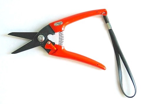 Pruning shears